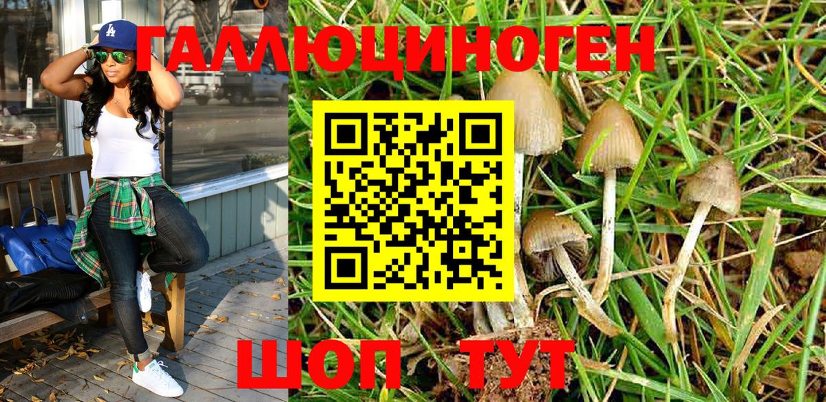 Псилоцибиновые грибы мухоморы Кашира
