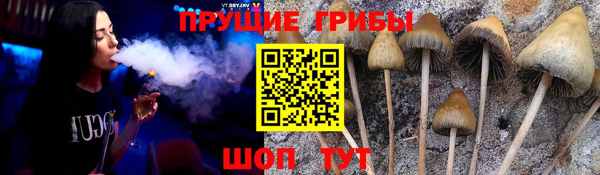 Псилоцибиновые грибы Psilocybine cubensis  Вход с VPN  Кашира 